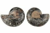 3.2" Cut/Polished Ammonite (Phylloceras?) Pair - Unusual Black Color - #166030-1